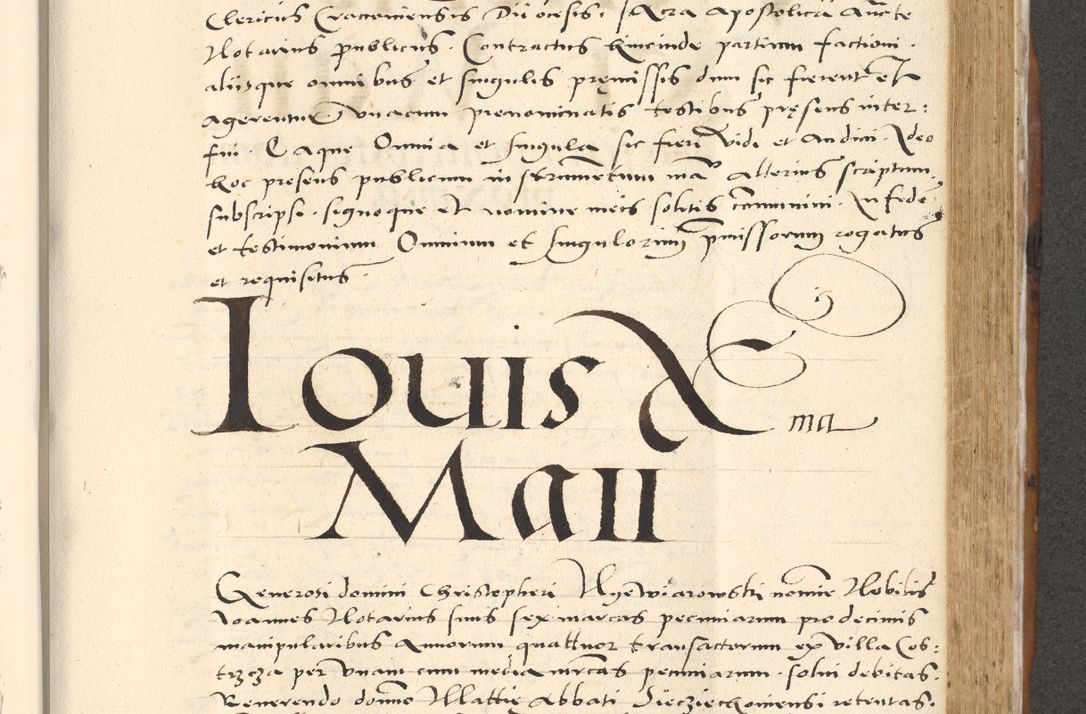 Zdjęcie nr 486 dla obiektu archiwalnego: [Acta actorum officialia coram Paula Crassowski]