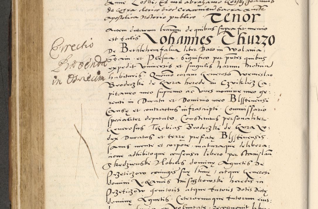 Zdjęcie nr 481 dla obiektu archiwalnego: [Acta actorum officialia coram Paula Crassowski]