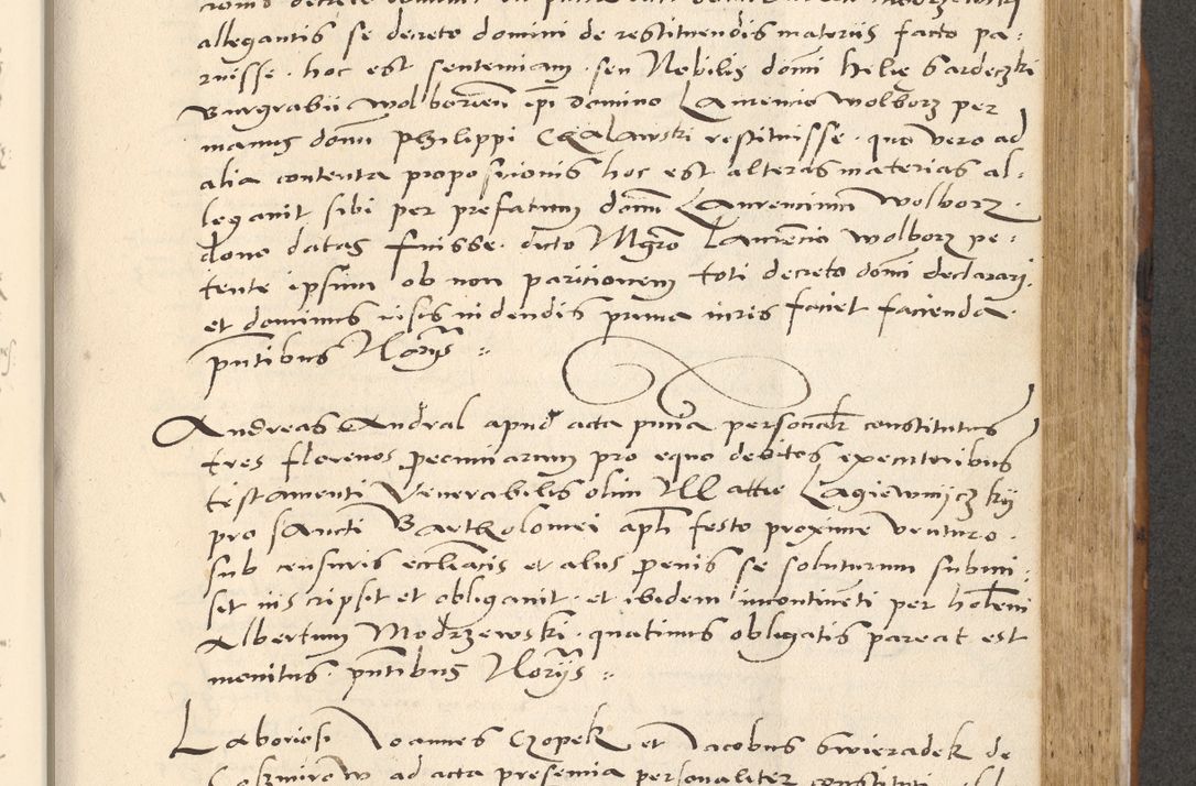 Zdjęcie nr 462 dla obiektu archiwalnego: [Acta actorum officialia coram Paula Crassowski]