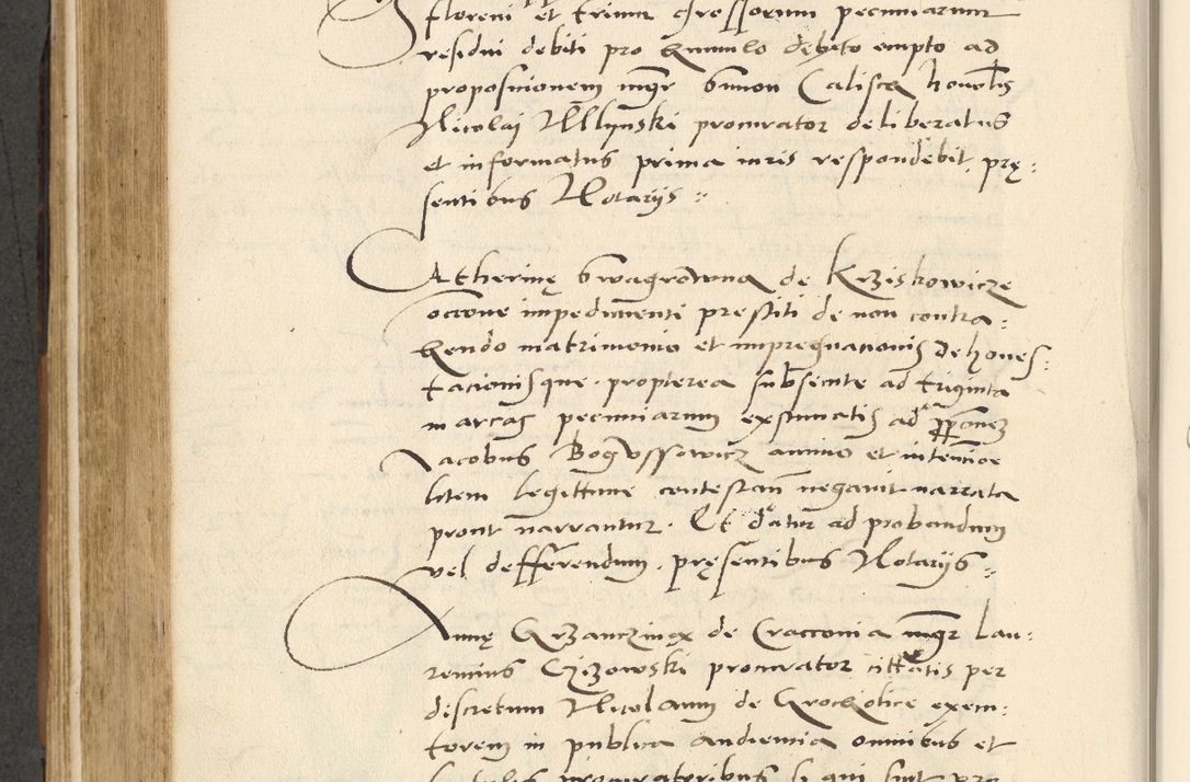 Zdjęcie nr 461 dla obiektu archiwalnego: [Acta actorum officialia coram Paula Crassowski]