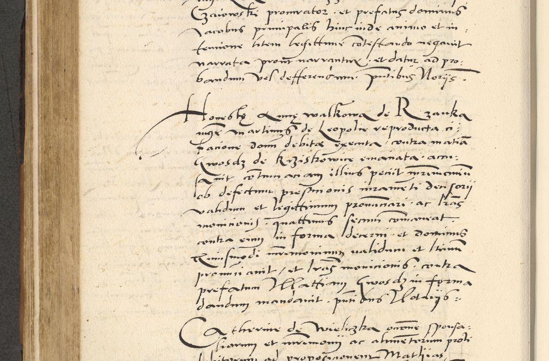 Zdjęcie nr 451 dla obiektu archiwalnego: [Acta actorum officialia coram Paula Crassowski]