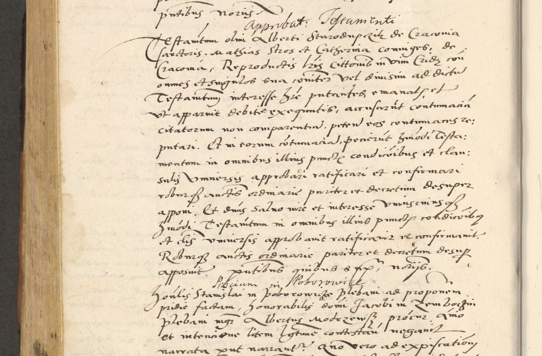 Zdjęcie nr 789 dla obiektu archiwalnego: [Acta actorum officialia coram Paula Crassowski]