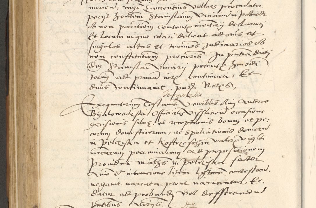 Zdjęcie nr 699 dla obiektu archiwalnego: [Acta actorum officialia coram Paula Crassowski]