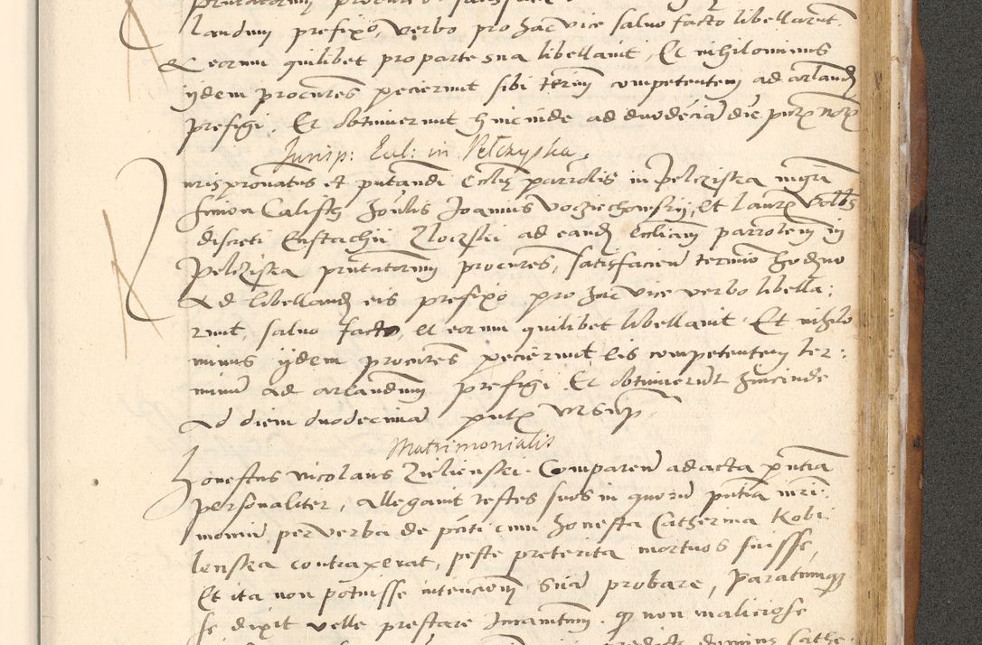 Zdjęcie nr 690 dla obiektu archiwalnego: [Acta actorum officialia coram Paula Crassowski]