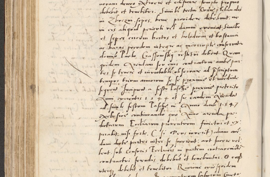 Zdjęcie nr 258 dla obiektu archiwalnego: Acta actorum causarum, sentenciarum et obligacionum coram reverendo patre domino Paulo Crassowsky Warssoviensi et Omnium Sanctorum preposito, canonico et officiali generali Cracoviensi ad annum Domini millesimum quingentesimum quadraresimum quatrum, cuius indicio est secunda pontificatus sanctissimi in Christo patris et domini nostri domini Pauli divina providencia pape tercii anno ipsius decimo, a die ac mense infrascriptis feliciter continuantur