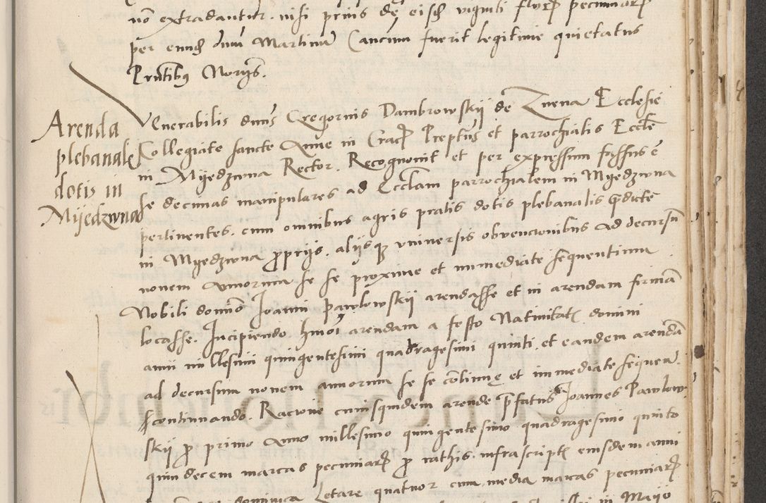 Zdjęcie nr 561 dla obiektu archiwalnego: Acta actorum causarum, sentenciarum et obligacionum coram reverendo patre domino Paulo Crassowsky Warssoviensi et Omnium Sanctorum preposito, canonico et officiali generali Cracoviensi ad annum Domini millesimum quingentesimum quadraresimum quatrum, cuius indicio est secunda pontificatus sanctissimi in Christo patris et domini nostri domini Pauli divina providencia pape tercii anno ipsius decimo, a die ac mense infrascriptis feliciter continuantur