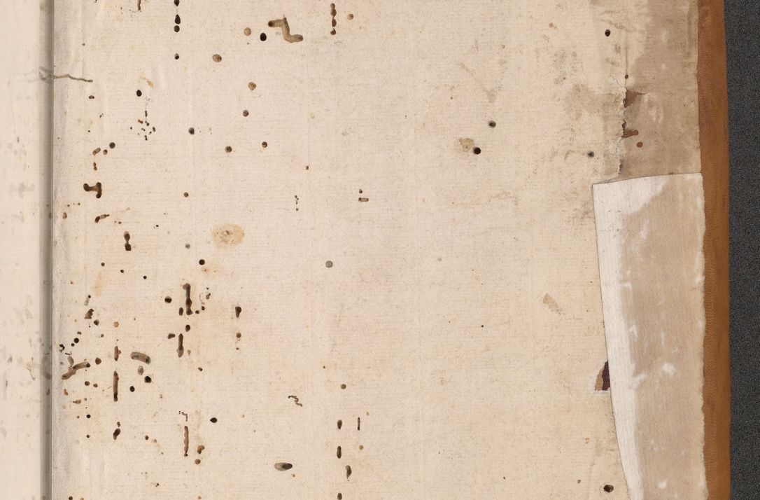 Zdjęcie nr 4 dla obiektu archiwalnego: Acta actorum coram reverendo patre domino Benedicto Isdbienski cancellario Gnesnesi, canonico et reverendissimi in Christo patris et domini domini Petri Dei gratia archiepiscopi Gnesnensis et episcopi Cracoviensis sedisque apostolice legati nati et primatis Regni Polonie, vicarioque in spiritualibus generali Cracoviensi ad annum Domini millesimum quingentisimum quadragesimum primum, cuius indictio est quatuordecima, pontificatus sanctissimi in Christo patris et domini nostri domini Pauli divina providencia pape tercii, anno ipsius septimo, feliciter continuantur. Dii cepta secundent