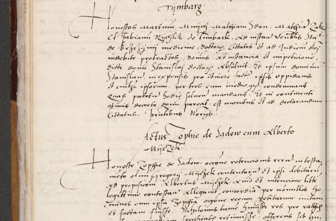 Zdjęcie nr 50 dla obiektu archiwalnego: Acta actorum coram reverendo patre domino Benedicto Isdbienski cancellario Gnesnesi, canonico et reverendissimi in Christo patris et domini domini Petri Dei gratia archiepiscopi Gnesnensis et episcopi Cracoviensis sedisque apostolice legati nati et primatis Regni Polonie, vicarioque in spiritualibus generali Cracoviensi ad annum Domini millesimum quingentisimum quadragesimum primum, cuius indictio est quatuordecima, pontificatus sanctissimi in Christo patris et domini nostri domini Pauli divina providencia pape tercii, anno ipsius septimo, feliciter continuantur. Dii cepta secundent