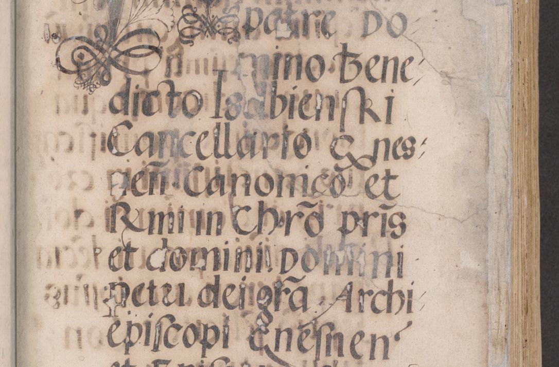 Zdjęcie nr 7 dla obiektu archiwalnego: Acta actorum coram reverendo patre domino Benedicto Isdbienski cancellario Gnesnesi, canonico et reverendissimi in Christo patris et domini domini Petri Dei gratia archiepiscopi Gnesnensis et episcopi Cracoviensis sedisque apostolice legati nati et primatis Regni Polonie, vicarioque in spiritualibus generali Cracoviensi ad annum Domini millesimum quingentisimum quadragesimum primum, cuius indictio est quatuordecima, pontificatus sanctissimi in Christo patris et domini nostri domini Pauli divina providencia pape tercii, anno ipsius septimo, feliciter continuantur. Dii cepta secundent