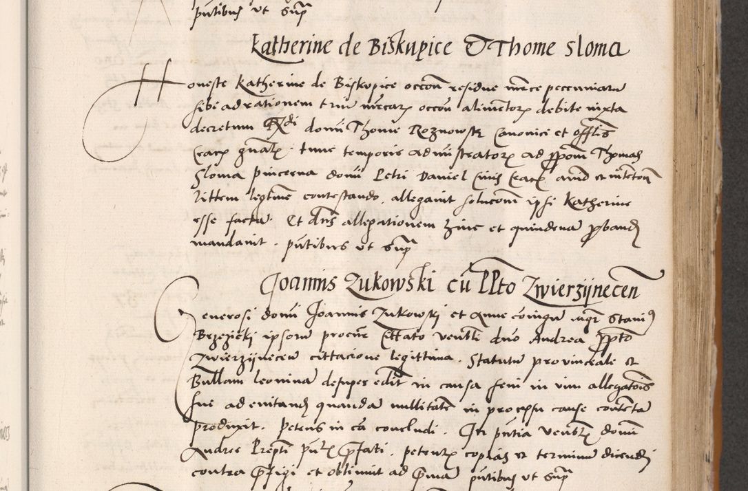 Zdjęcie nr 385 dla obiektu archiwalnego: Acta actorum coram reverendo patre domino Benedicto Isdbienski cancellario Gnesnesi, canonico et reverendissimi in Christo patris et domini domini Petri Dei gratia archiepiscopi Gnesnensis et episcopi Cracoviensis sedisque apostolice legati nati et primatis Regni Polonie, vicarioque in spiritualibus generali Cracoviensi ad annum Domini millesimum quingentisimum quadragesimum primum, cuius indictio est quatuordecima, pontificatus sanctissimi in Christo patris et domini nostri domini Pauli divina providencia pape tercii, anno ipsius septimo, feliciter continuantur. Dii cepta secundent