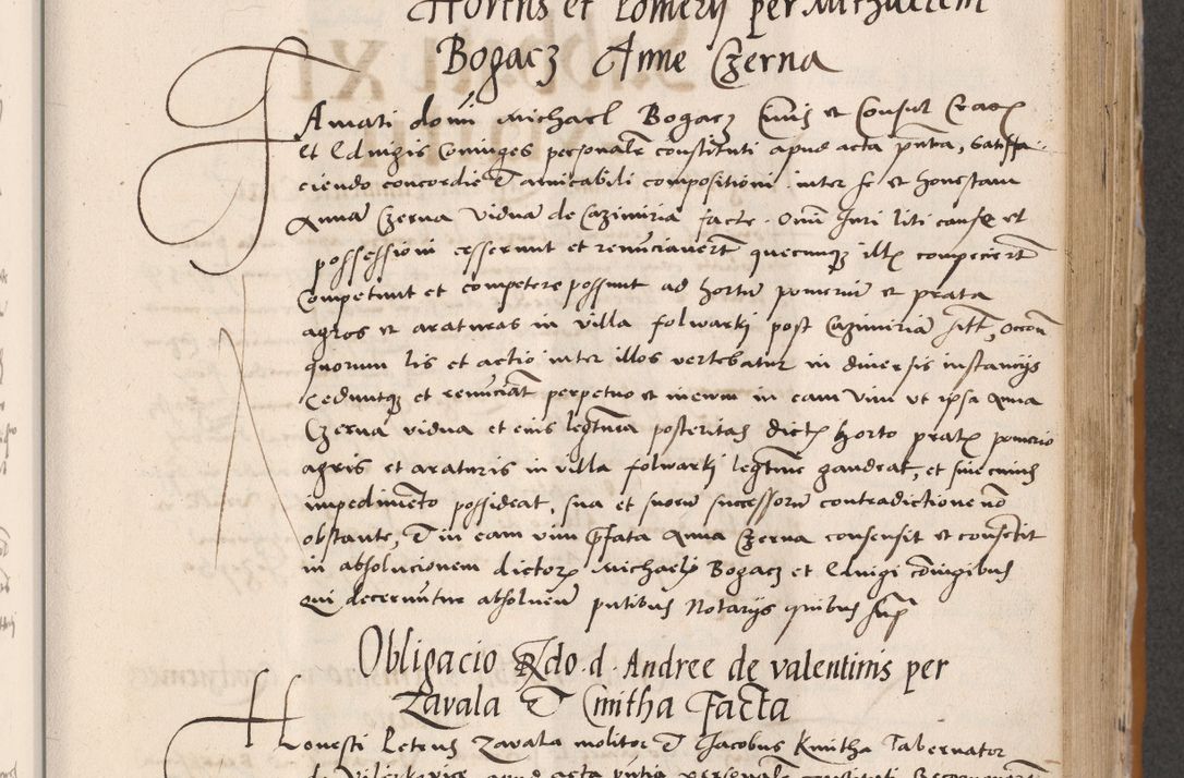 Zdjęcie nr 383 dla obiektu archiwalnego: Acta actorum coram reverendo patre domino Benedicto Isdbienski cancellario Gnesnesi, canonico et reverendissimi in Christo patris et domini domini Petri Dei gratia archiepiscopi Gnesnensis et episcopi Cracoviensis sedisque apostolice legati nati et primatis Regni Polonie, vicarioque in spiritualibus generali Cracoviensi ad annum Domini millesimum quingentisimum quadragesimum primum, cuius indictio est quatuordecima, pontificatus sanctissimi in Christo patris et domini nostri domini Pauli divina providencia pape tercii, anno ipsius septimo, feliciter continuantur. Dii cepta secundent