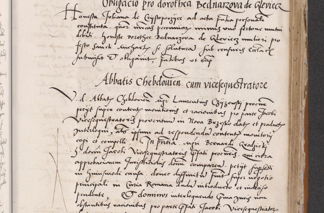 Zdjęcie nr 507 dla obiektu archiwalnego: Acta actorum coram reverendo patre domino Benedicto Isdbienski cancellario Gnesnesi, canonico et reverendissimi in Christo patris et domini domini Petri Dei gratia archiepiscopi Gnesnensis et episcopi Cracoviensis sedisque apostolice legati nati et primatis Regni Polonie, vicarioque in spiritualibus generali Cracoviensi ad annum Domini millesimum quingentisimum quadragesimum primum, cuius indictio est quatuordecima, pontificatus sanctissimi in Christo patris et domini nostri domini Pauli divina providencia pape tercii, anno ipsius septimo, feliciter continuantur. Dii cepta secundent