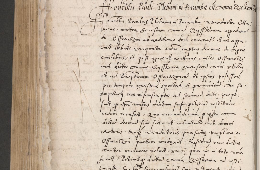 Zdjęcie nr 856 dla obiektu archiwalnego: Acta actorum coram reverendo patre domino Benedicto Isdbienski cancellario Gnesnesi, canonico et reverendissimi in Christo patris et domini domini Petri Dei gratia archiepiscopi Gnesnensis et episcopi Cracoviensis sedisque apostolice legati nati et primatis Regni Polonie, vicarioque in spiritualibus generali Cracoviensi ad annum Domini millesimum quingentisimum quadragesimum primum, cuius indictio est quatuordecima, pontificatus sanctissimi in Christo patris et domini nostri domini Pauli divina providencia pape tercii, anno ipsius septimo, feliciter continuantur. Dii cepta secundent