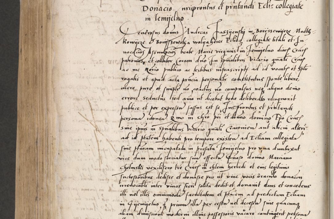 Zdjęcie nr 852 dla obiektu archiwalnego: Acta actorum coram reverendo patre domino Benedicto Isdbienski cancellario Gnesnesi, canonico et reverendissimi in Christo patris et domini domini Petri Dei gratia archiepiscopi Gnesnensis et episcopi Cracoviensis sedisque apostolice legati nati et primatis Regni Polonie, vicarioque in spiritualibus generali Cracoviensi ad annum Domini millesimum quingentisimum quadragesimum primum, cuius indictio est quatuordecima, pontificatus sanctissimi in Christo patris et domini nostri domini Pauli divina providencia pape tercii, anno ipsius septimo, feliciter continuantur. Dii cepta secundent