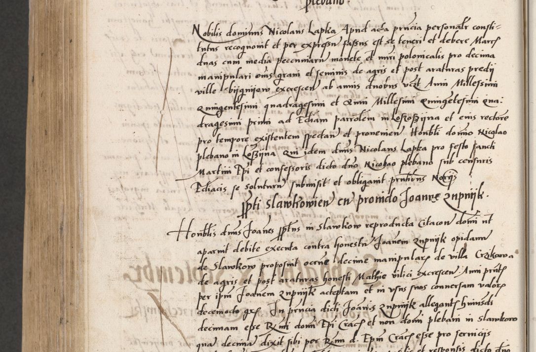 Zdjęcie nr 814 dla obiektu archiwalnego: Acta actorum coram reverendo patre domino Benedicto Isdbienski cancellario Gnesnesi, canonico et reverendissimi in Christo patris et domini domini Petri Dei gratia archiepiscopi Gnesnensis et episcopi Cracoviensis sedisque apostolice legati nati et primatis Regni Polonie, vicarioque in spiritualibus generali Cracoviensi ad annum Domini millesimum quingentisimum quadragesimum primum, cuius indictio est quatuordecima, pontificatus sanctissimi in Christo patris et domini nostri domini Pauli divina providencia pape tercii, anno ipsius septimo, feliciter continuantur. Dii cepta secundent