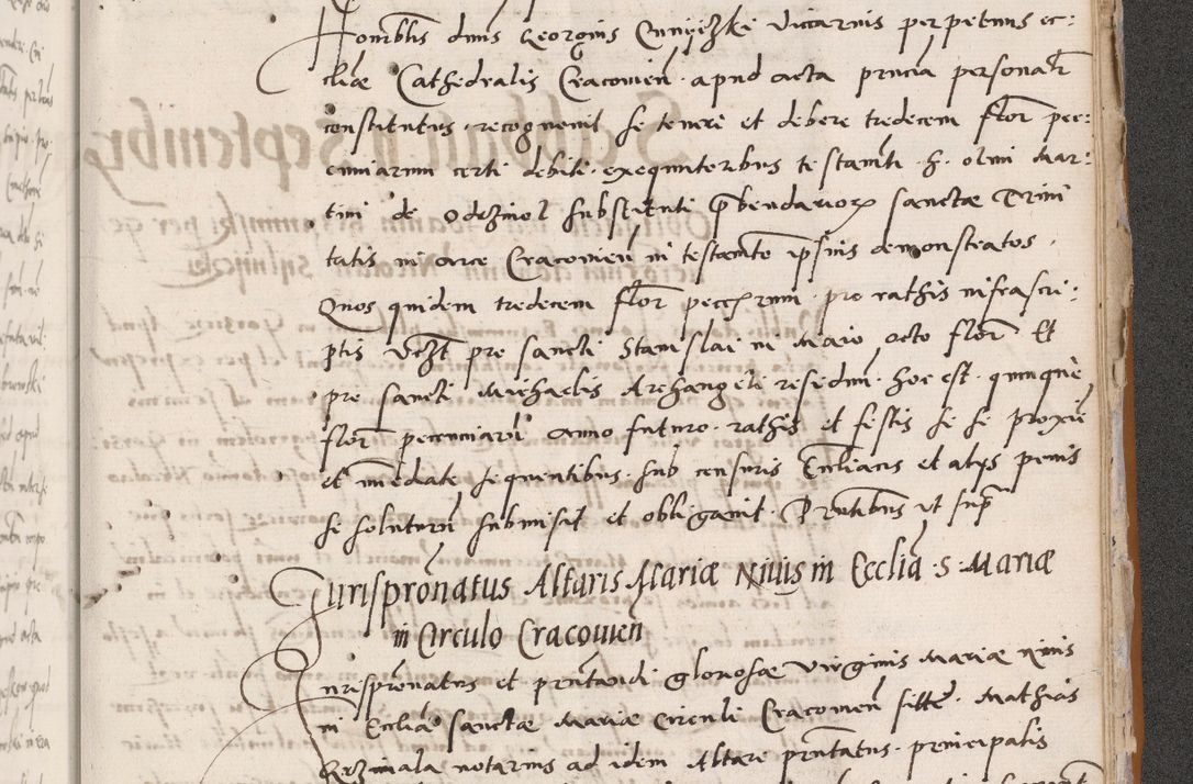 Zdjęcie nr 799 dla obiektu archiwalnego: Acta actorum coram reverendo patre domino Benedicto Isdbienski cancellario Gnesnesi, canonico et reverendissimi in Christo patris et domini domini Petri Dei gratia archiepiscopi Gnesnensis et episcopi Cracoviensis sedisque apostolice legati nati et primatis Regni Polonie, vicarioque in spiritualibus generali Cracoviensi ad annum Domini millesimum quingentisimum quadragesimum primum, cuius indictio est quatuordecima, pontificatus sanctissimi in Christo patris et domini nostri domini Pauli divina providencia pape tercii, anno ipsius septimo, feliciter continuantur. Dii cepta secundent