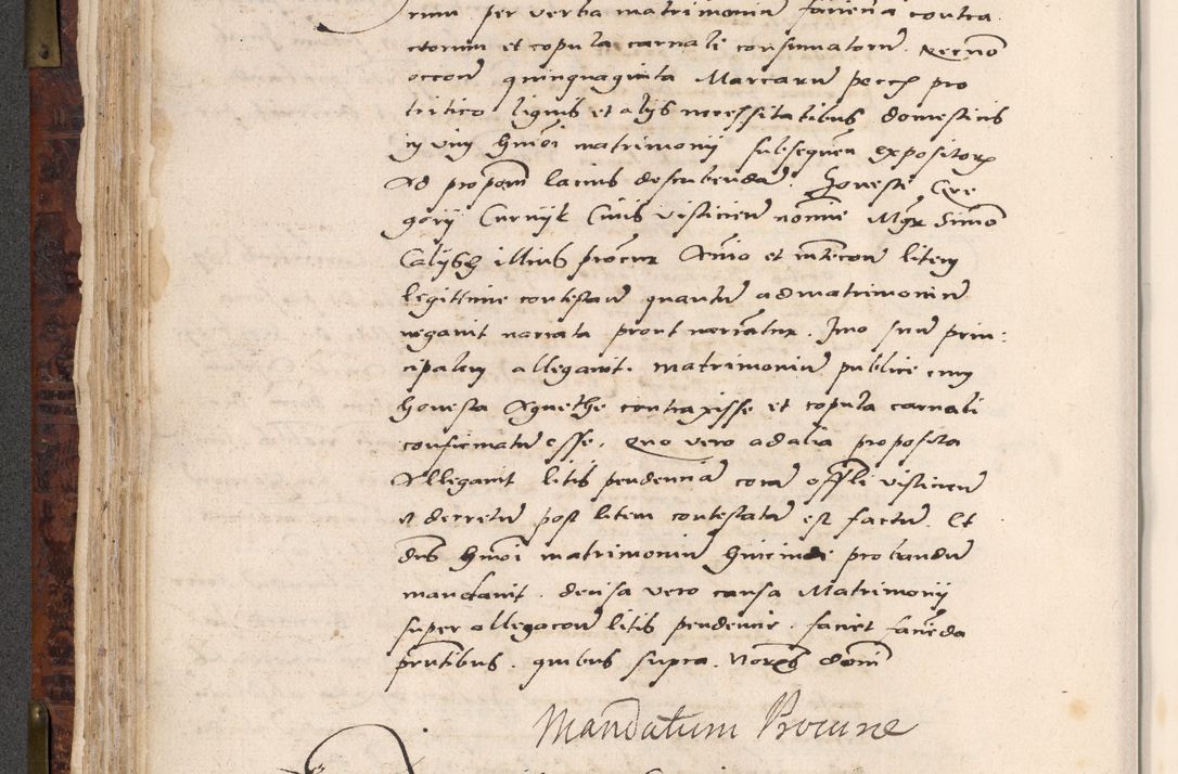 Zdjęcie nr 204 dla obiektu archiwalnego: Acta actorum causar[um sen]tenciarum tam diffinitivarum quam interlocutoriarum et obligacionum coram reverendo domino Benedicto Isdbienski cancellario Gnesnensi, cantore et vicario in spiritualibus generali Craccoviensi ad annum Domini millesimum quingentesimum quadragesimum quartum, cuius indicio est secunda, pontificatus sanctiss[imi] in Christo patris et [domi]ni nostri domini Pauli divina providencia pape tercii feliciter moderni, anno coronancionis eiusdem decimo, continuantur