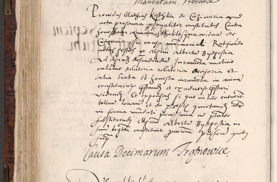 Zdjęcie nr 272 dla obiektu archiwalnego: Acta actorum causar[um sen]tenciarum tam diffinitivarum quam interlocutoriarum et obligacionum coram reverendo domino Benedicto Isdbienski cancellario Gnesnensi, cantore et vicario in spiritualibus generali Craccoviensi ad annum Domini millesimum quingentesimum quadragesimum quartum, cuius indicio est secunda, pontificatus sanctiss[imi] in Christo patris et [domi]ni nostri domini Pauli divina providencia pape tercii feliciter moderni, anno coronancionis eiusdem decimo, continuantur