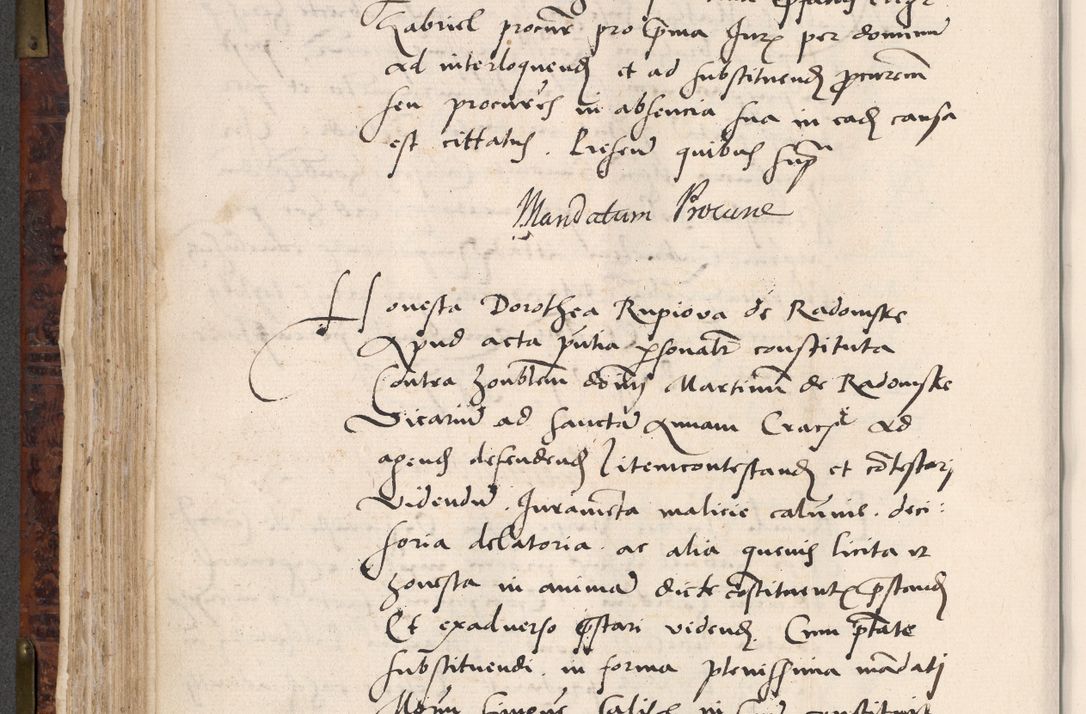 Zdjęcie nr 264 dla obiektu archiwalnego: Acta actorum causar[um sen]tenciarum tam diffinitivarum quam interlocutoriarum et obligacionum coram reverendo domino Benedicto Isdbienski cancellario Gnesnensi, cantore et vicario in spiritualibus generali Craccoviensi ad annum Domini millesimum quingentesimum quadragesimum quartum, cuius indicio est secunda, pontificatus sanctiss[imi] in Christo patris et [domi]ni nostri domini Pauli divina providencia pape tercii feliciter moderni, anno coronancionis eiusdem decimo, continuantur
