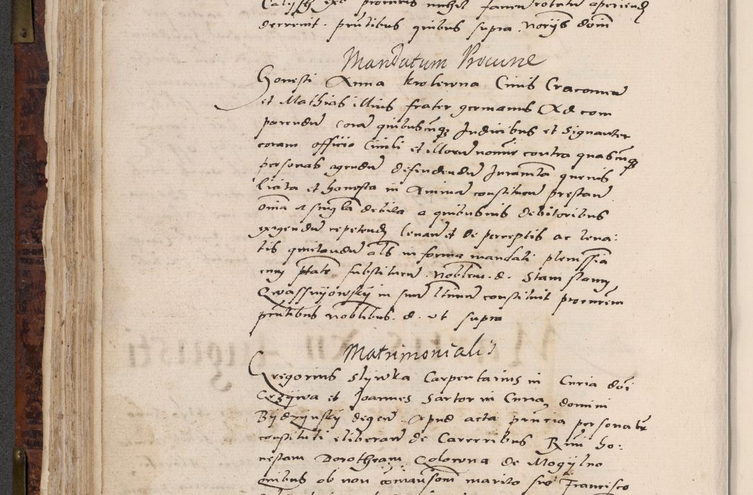 Zdjęcie nr 232 dla obiektu archiwalnego: Acta actorum causar[um sen]tenciarum tam diffinitivarum quam interlocutoriarum et obligacionum coram reverendo domino Benedicto Isdbienski cancellario Gnesnensi, cantore et vicario in spiritualibus generali Craccoviensi ad annum Domini millesimum quingentesimum quadragesimum quartum, cuius indicio est secunda, pontificatus sanctiss[imi] in Christo patris et [domi]ni nostri domini Pauli divina providencia pape tercii feliciter moderni, anno coronancionis eiusdem decimo, continuantur