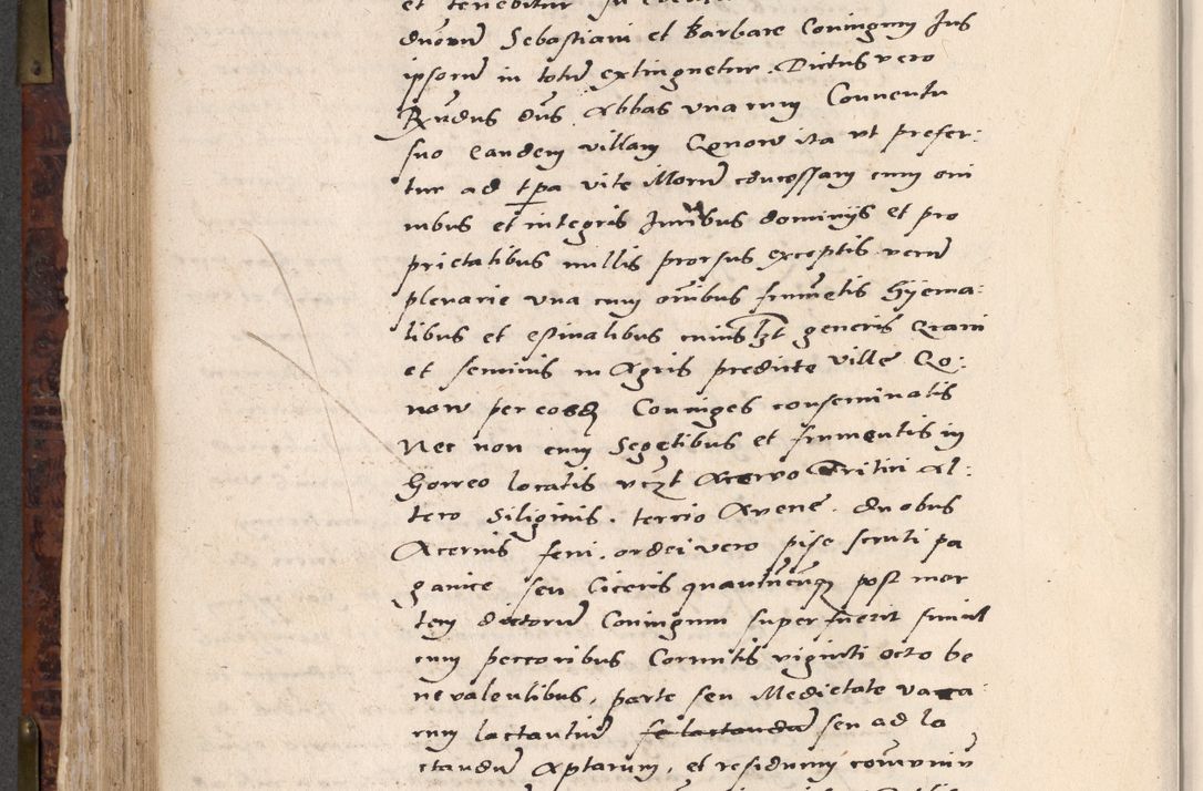 Zdjęcie nr 476 dla obiektu archiwalnego: Acta actorum causar[um sen]tenciarum tam diffinitivarum quam interlocutoriarum et obligacionum coram reverendo domino Benedicto Isdbienski cancellario Gnesnensi, cantore et vicario in spiritualibus generali Craccoviensi ad annum Domini millesimum quingentesimum quadragesimum quartum, cuius indicio est secunda, pontificatus sanctiss[imi] in Christo patris et [domi]ni nostri domini Pauli divina providencia pape tercii feliciter moderni, anno coronancionis eiusdem decimo, continuantur
