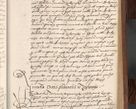 Zdjęcie nr 365 dla obiektu archiwalnego: Acta actorum causarum, sentenciarum, obligationum et mandatorum coram reverendo patre domino Petro Porembski preposito Osswieczimensi, canonico et officiali generali Cracoviensi ad annum Domini millesimum quingentesimum quadrogesimum sextum, cuius inditio est quarta, pontificatus sanctissimi in Christo patris et domini nostri domini Pauli divina providencia papae tercii, anno ipsius duodecimo, a die ac mense infrascriptis feliciter inchoantur