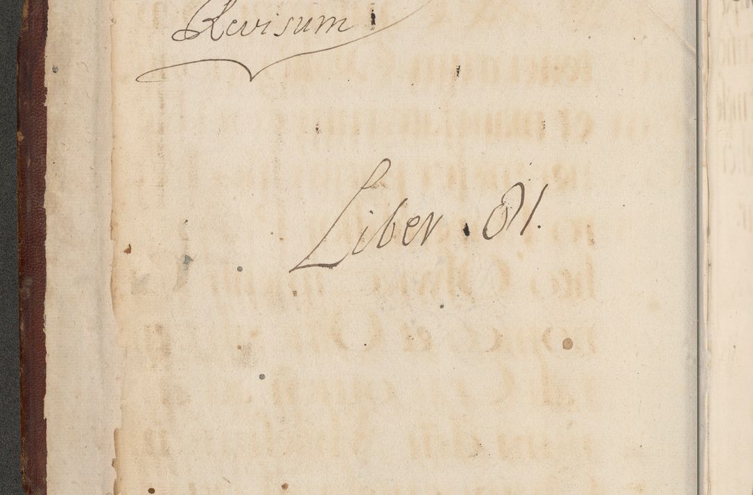 Zdjęcie nr 6 dla obiektu archiwalnego: Acta actorum causarum, sententiarum, obligationum et mandatorum coram reverendo patre et domini nostri domini Pauli divina providencia pape tertii, anno decimo quarto, a die et mense infrascriptis foeliciter continuantur. Annus coronancionis Pauli papae tercii a die tercia mensis Novembris inchoatur