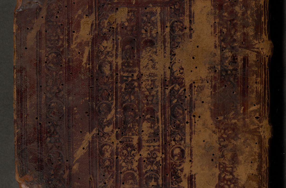 Zdjęcie nr 2 dla obiektu archiwalnego: Acta actorum causarum, sententiarum, obligationum et mandatorum coram reverendo patre et domini nostri domini Pauli divina providencia pape tertii, anno decimo quarto, a die et mense infrascriptis foeliciter continuantur. Annus coronancionis Pauli papae tercii a die tercia mensis Novembris inchoatur