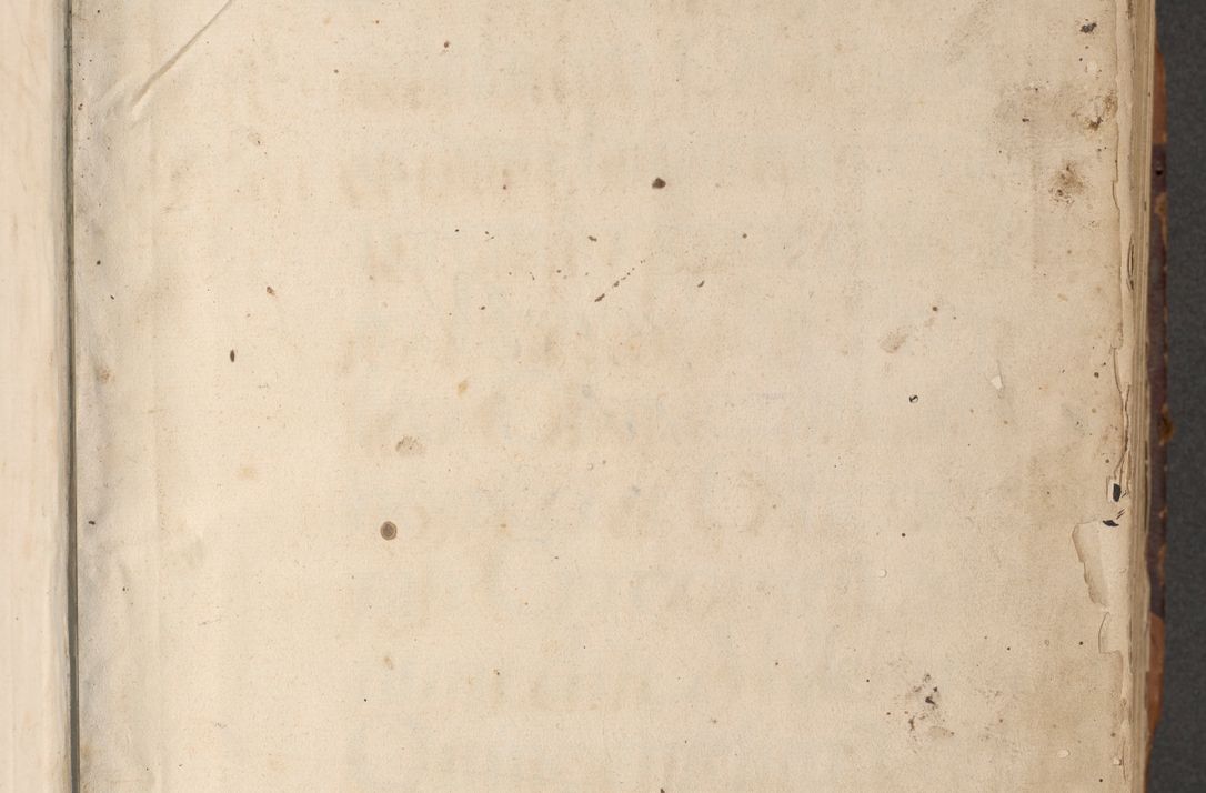 Zdjęcie nr 5 dla obiektu archiwalnego: Acta actorum causarum, sententiarum, obligationum et mandatorum coram reverendo patre et domini nostri domini Pauli divina providencia pape tertii, anno decimo quarto, a die et mense infrascriptis foeliciter continuantur. Annus coronancionis Pauli papae tercii a die tercia mensis Novembris inchoatur