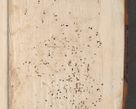 Zdjęcie nr 4 dla obiektu archiwalnego: Acta actorum causarum, sententiarum, obligationum et mandatorum coram reverendo patre et domini nostri domini Pauli divina providencia pape tertii, anno decimo quarto, a die et mense infrascriptis foeliciter continuantur. Annus coronancionis Pauli papae tercii a die tercia mensis Novembris inchoatur