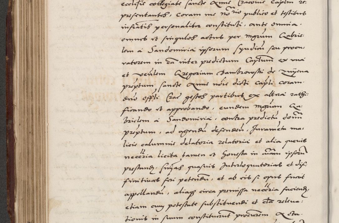 Zdjęcie nr 382 dla obiektu archiwalnego: Acta actorum causarum, sententiarum, obligationum et mandatorum coram reverendo patre et domini nostri domini Pauli divina providencia pape tertii, anno decimo quarto, a die et mense infrascriptis foeliciter continuantur. Annus coronancionis Pauli papae tercii a die tercia mensis Novembris inchoatur