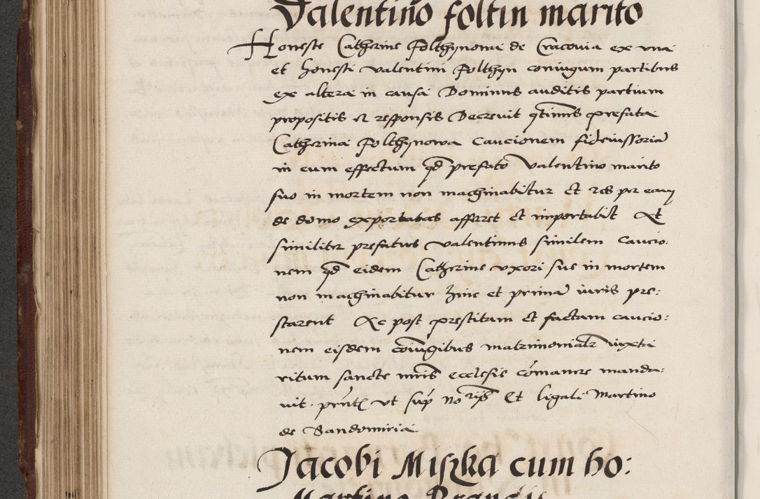 Zdjęcie nr 362 dla obiektu archiwalnego: Acta actorum causarum, sententiarum, obligationum et mandatorum coram reverendo patre et domini nostri domini Pauli divina providencia pape tertii, anno decimo quarto, a die et mense infrascriptis foeliciter continuantur. Annus coronancionis Pauli papae tercii a die tercia mensis Novembris inchoatur