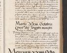Zdjęcie nr 363 dla obiektu archiwalnego: Acta actorum causarum, sententiarum, obligationum et mandatorum coram reverendo patre et domini nostri domini Pauli divina providencia pape tertii, anno decimo quarto, a die et mense infrascriptis foeliciter continuantur. Annus coronancionis Pauli papae tercii a die tercia mensis Novembris inchoatur