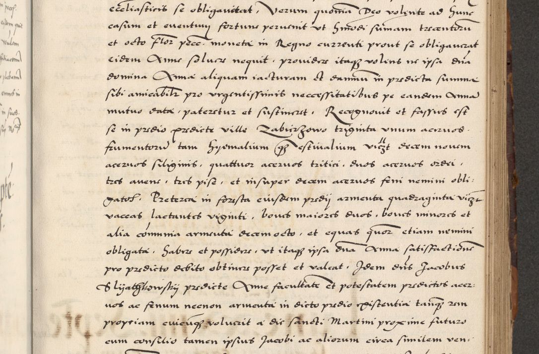 Zdjęcie nr 309 dla obiektu archiwalnego: Acta actorum causarum, sententiarum, obligationum et mandatorum coram reverendo patre et domini nostri domini Pauli divina providencia pape tertii, anno decimo quarto, a die et mense infrascriptis foeliciter continuantur. Annus coronancionis Pauli papae tercii a die tercia mensis Novembris inchoatur