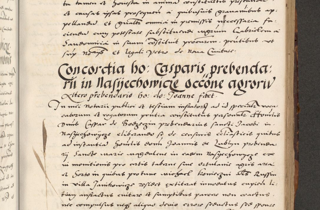 Zdjęcie nr 263 dla obiektu archiwalnego: Acta actorum causarum, sententiarum, obligationum et mandatorum coram reverendo patre et domini nostri domini Pauli divina providencia pape tertii, anno decimo quarto, a die et mense infrascriptis foeliciter continuantur. Annus coronancionis Pauli papae tercii a die tercia mensis Novembris inchoatur