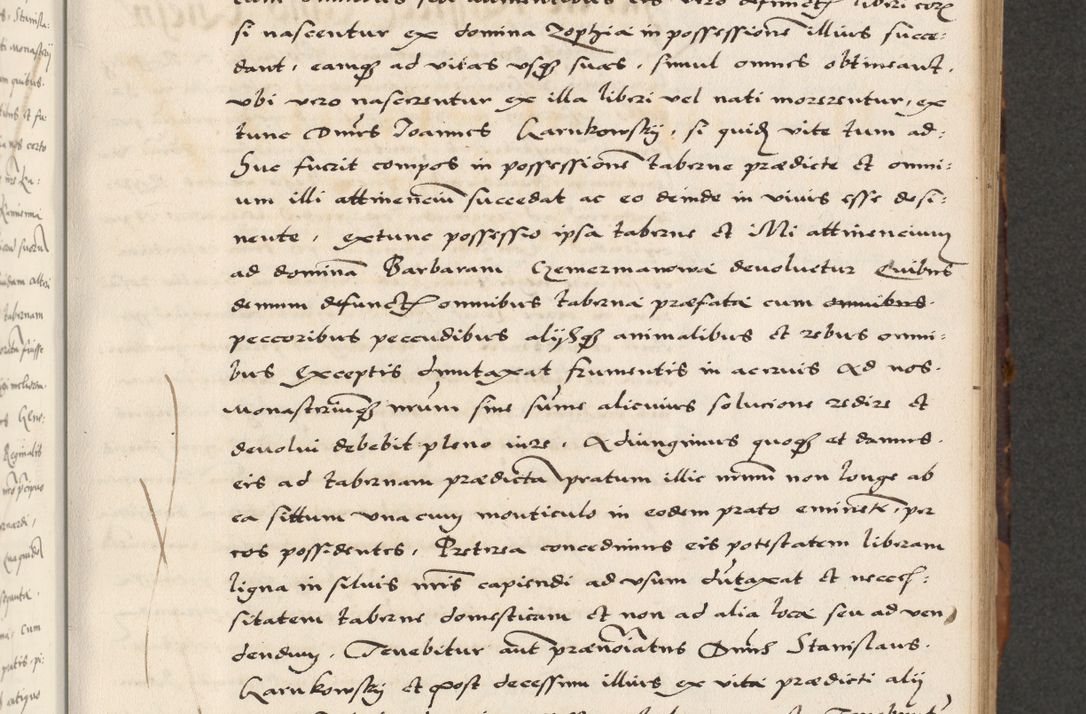 Zdjęcie nr 223 dla obiektu archiwalnego: Acta actorum causarum, sententiarum, obligationum et mandatorum coram reverendo patre et domini nostri domini Pauli divina providencia pape tertii, anno decimo quarto, a die et mense infrascriptis foeliciter continuantur. Annus coronancionis Pauli papae tercii a die tercia mensis Novembris inchoatur