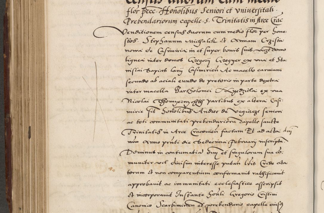 Zdjęcie nr 562 dla obiektu archiwalnego: Acta actorum causarum, sententiarum, obligationum et mandatorum coram reverendo patre et domini nostri domini Pauli divina providencia pape tertii, anno decimo quarto, a die et mense infrascriptis foeliciter continuantur. Annus coronancionis Pauli papae tercii a die tercia mensis Novembris inchoatur