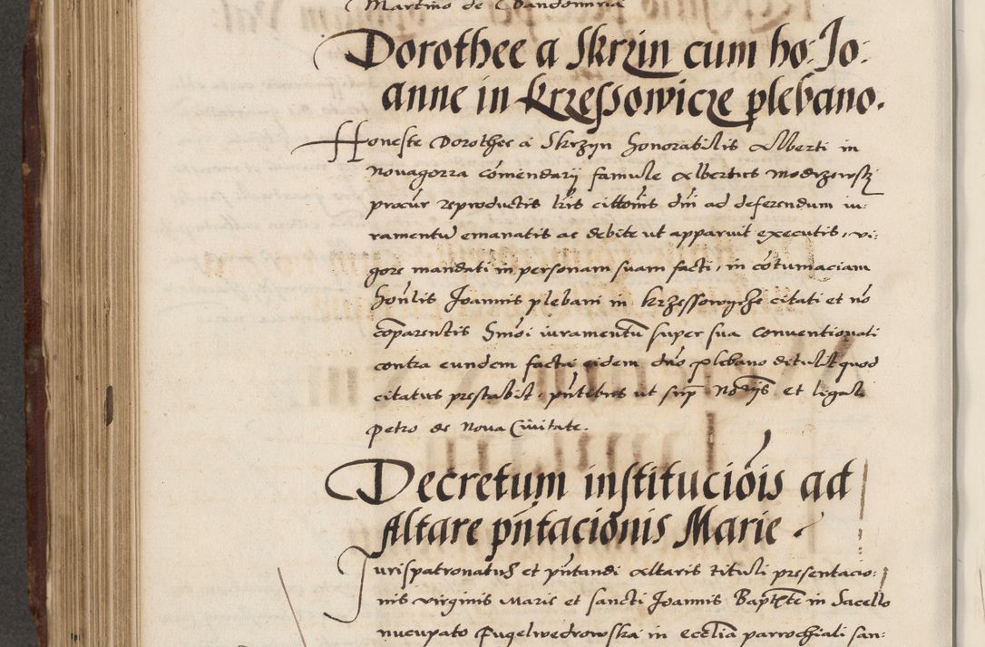 Zdjęcie nr 486 dla obiektu archiwalnego: Acta actorum causarum, sententiarum, obligationum et mandatorum coram reverendo patre et domini nostri domini Pauli divina providencia pape tertii, anno decimo quarto, a die et mense infrascriptis foeliciter continuantur. Annus coronancionis Pauli papae tercii a die tercia mensis Novembris inchoatur