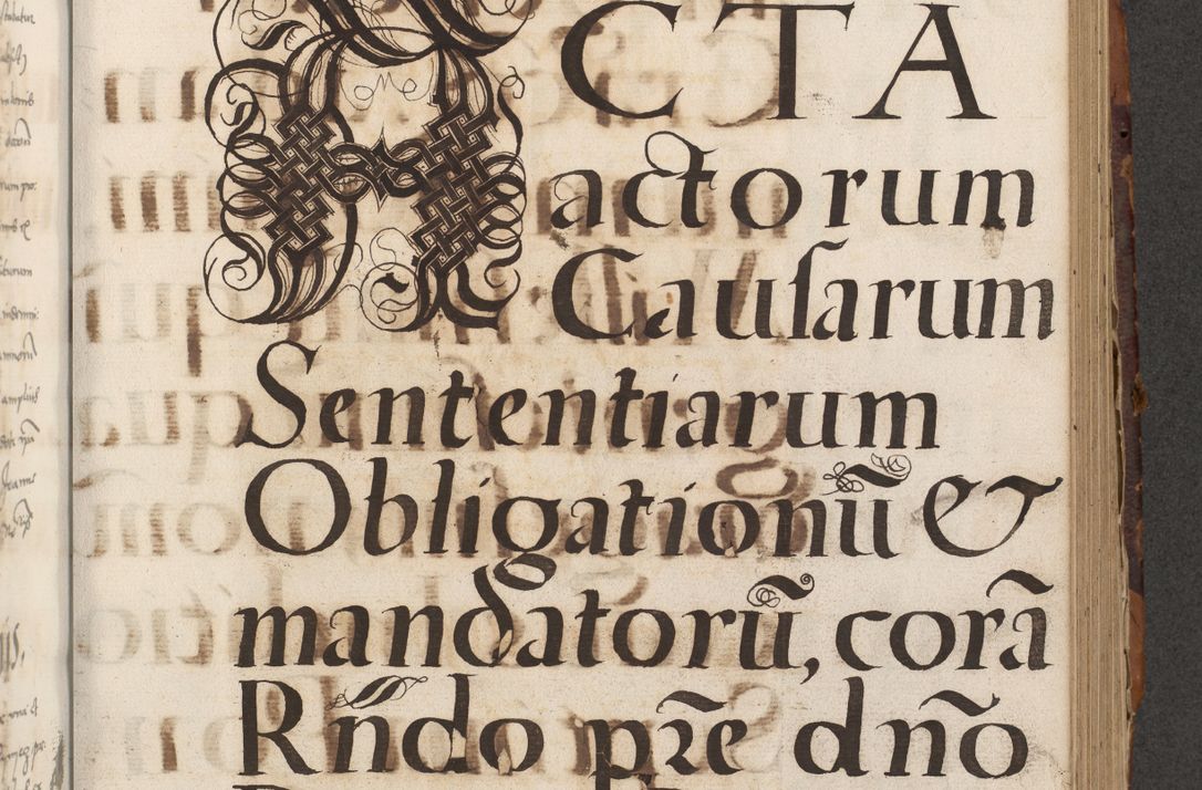 Zdjęcie nr 451 dla obiektu archiwalnego: Acta actorum causarum, sententiarum, obligationum et mandatorum coram reverendo patre et domini nostri domini Pauli divina providencia pape tertii, anno decimo quarto, a die et mense infrascriptis foeliciter continuantur. Annus coronancionis Pauli papae tercii a die tercia mensis Novembris inchoatur