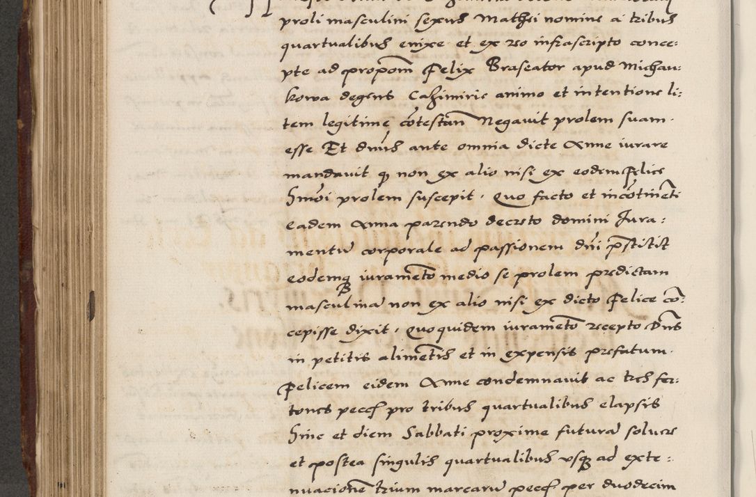 Zdjęcie nr 444 dla obiektu archiwalnego: Acta actorum causarum, sententiarum, obligationum et mandatorum coram reverendo patre et domini nostri domini Pauli divina providencia pape tertii, anno decimo quarto, a die et mense infrascriptis foeliciter continuantur. Annus coronancionis Pauli papae tercii a die tercia mensis Novembris inchoatur