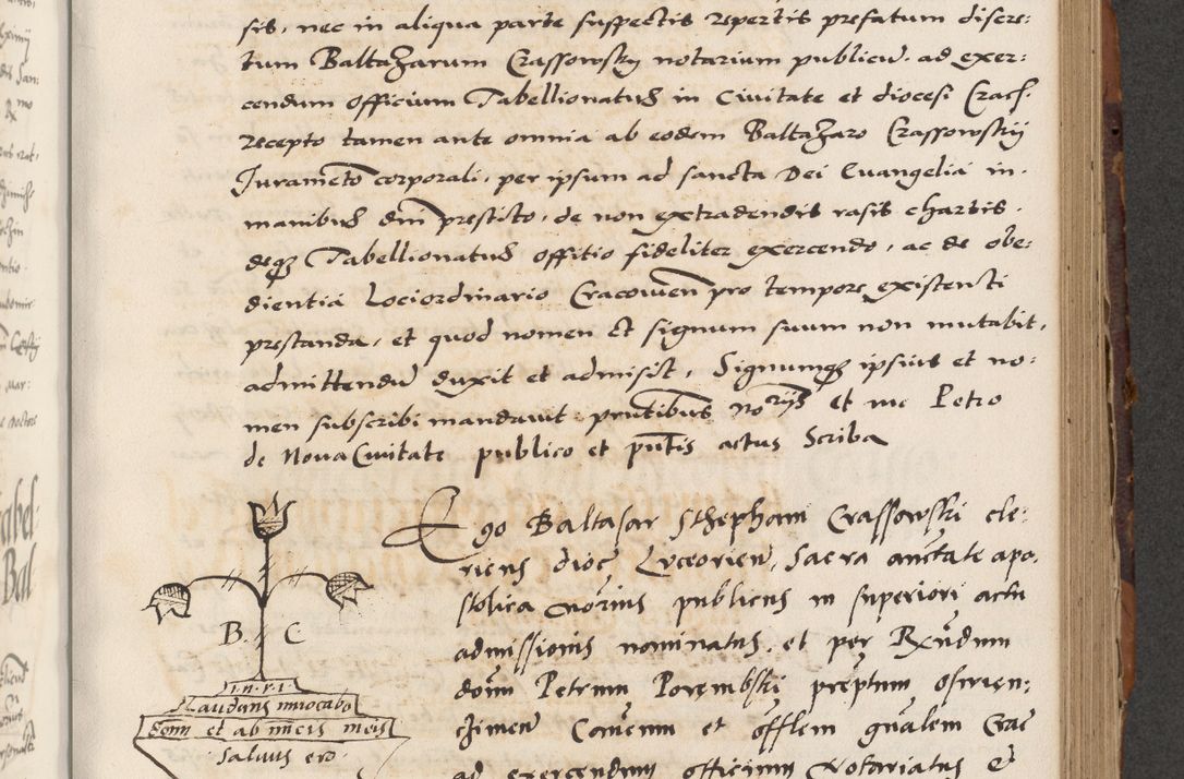 Zdjęcie nr 425 dla obiektu archiwalnego: Acta actorum causarum, sententiarum, obligationum et mandatorum coram reverendo patre et domini nostri domini Pauli divina providencia pape tertii, anno decimo quarto, a die et mense infrascriptis foeliciter continuantur. Annus coronancionis Pauli papae tercii a die tercia mensis Novembris inchoatur