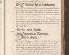 Zdjęcie nr 729 dla obiektu archiwalnego: Acta actorum causarum, sententiarum, obligationum et mandatorum coram reverendo patre et domini nostri domini Pauli divina providencia pape tertii, anno decimo quarto, a die et mense infrascriptis foeliciter continuantur. Annus coronancionis Pauli papae tercii a die tercia mensis Novembris inchoatur