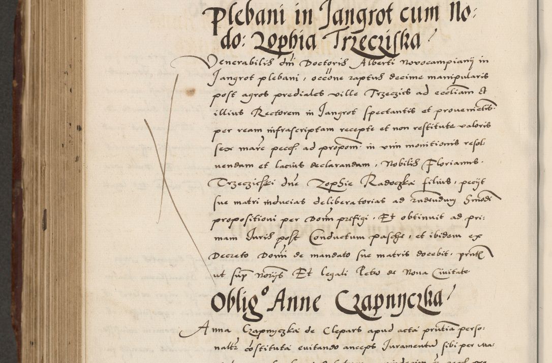 Zdjęcie nr 724 dla obiektu archiwalnego: Acta actorum causarum, sententiarum, obligationum et mandatorum coram reverendo patre et domini nostri domini Pauli divina providencia pape tertii, anno decimo quarto, a die et mense infrascriptis foeliciter continuantur. Annus coronancionis Pauli papae tercii a die tercia mensis Novembris inchoatur