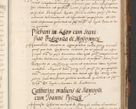 Zdjęcie nr 695 dla obiektu archiwalnego: Acta actorum causarum, sententiarum, obligationum et mandatorum coram reverendo patre et domini nostri domini Pauli divina providencia pape tertii, anno decimo quarto, a die et mense infrascriptis foeliciter continuantur. Annus coronancionis Pauli papae tercii a die tercia mensis Novembris inchoatur