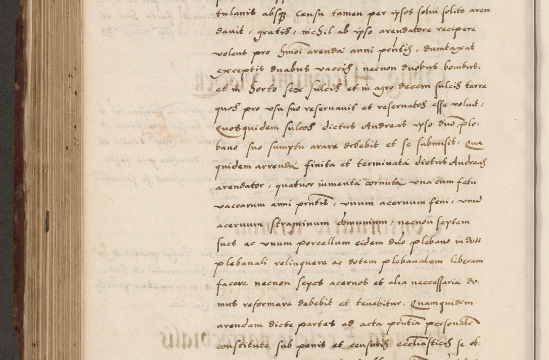Zdjęcie nr 686 dla obiektu archiwalnego: Acta actorum causarum, sententiarum, obligationum et mandatorum coram reverendo patre et domini nostri domini Pauli divina providencia pape tertii, anno decimo quarto, a die et mense infrascriptis foeliciter continuantur. Annus coronancionis Pauli papae tercii a die tercia mensis Novembris inchoatur