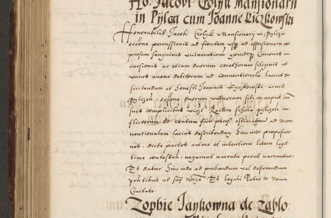 Zdjęcie nr 684 dla obiektu archiwalnego: Acta actorum causarum, sententiarum, obligationum et mandatorum coram reverendo patre et domini nostri domini Pauli divina providencia pape tertii, anno decimo quarto, a die et mense infrascriptis foeliciter continuantur. Annus coronancionis Pauli papae tercii a die tercia mensis Novembris inchoatur
