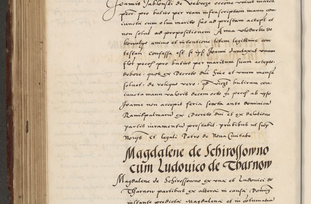Zdjęcie nr 654 dla obiektu archiwalnego: Acta actorum causarum, sententiarum, obligationum et mandatorum coram reverendo patre et domini nostri domini Pauli divina providencia pape tertii, anno decimo quarto, a die et mense infrascriptis foeliciter continuantur. Annus coronancionis Pauli papae tercii a die tercia mensis Novembris inchoatur