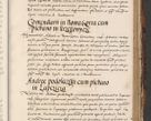 Zdjęcie nr 645 dla obiektu archiwalnego: Acta actorum causarum, sententiarum, obligationum et mandatorum coram reverendo patre et domini nostri domini Pauli divina providencia pape tertii, anno decimo quarto, a die et mense infrascriptis foeliciter continuantur. Annus coronancionis Pauli papae tercii a die tercia mensis Novembris inchoatur