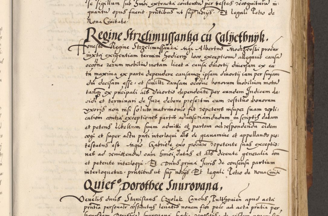 Zdjęcie nr 173 dla obiektu archiwalnego: Acta causarum, obligacionum, sentenciarum tam interlocutoriarum quam diffinitivarum constitutionumque coram reverendo patre domino Petro Porembski canonico et officiali generali Cracoviensi de anno Domini millesimo quingentesimo quadragesimo nono, cuius indictio septima, pontificatus sanctissimi in Christo patris et domini nostri domini Pauli divina providencia tercii, anno ipsius nacionis Pauli pape terciii die tercia mensis Novembris inchoatur