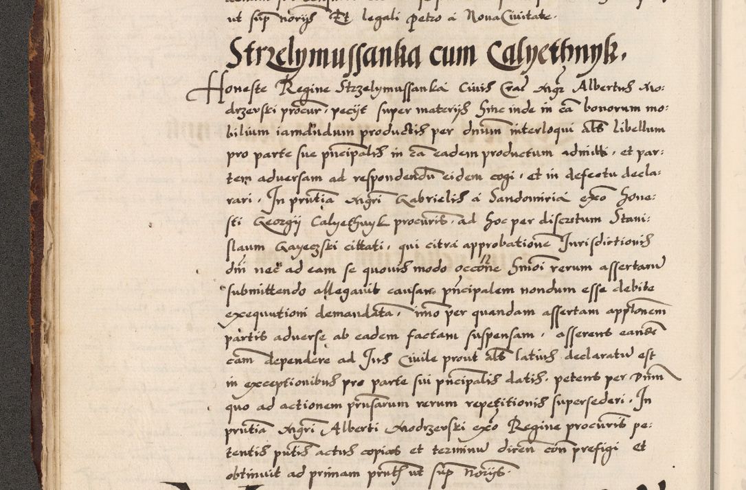 Zdjęcie nr 178 dla obiektu archiwalnego: Acta causarum, obligacionum, sentenciarum tam interlocutoriarum quam diffinitivarum constitutionumque coram reverendo patre domino Petro Porembski canonico et officiali generali Cracoviensi de anno Domini millesimo quingentesimo quadragesimo nono, cuius indictio septima, pontificatus sanctissimi in Christo patris et domini nostri domini Pauli divina providencia tercii, anno ipsius nacionis Pauli pape terciii die tercia mensis Novembris inchoatur